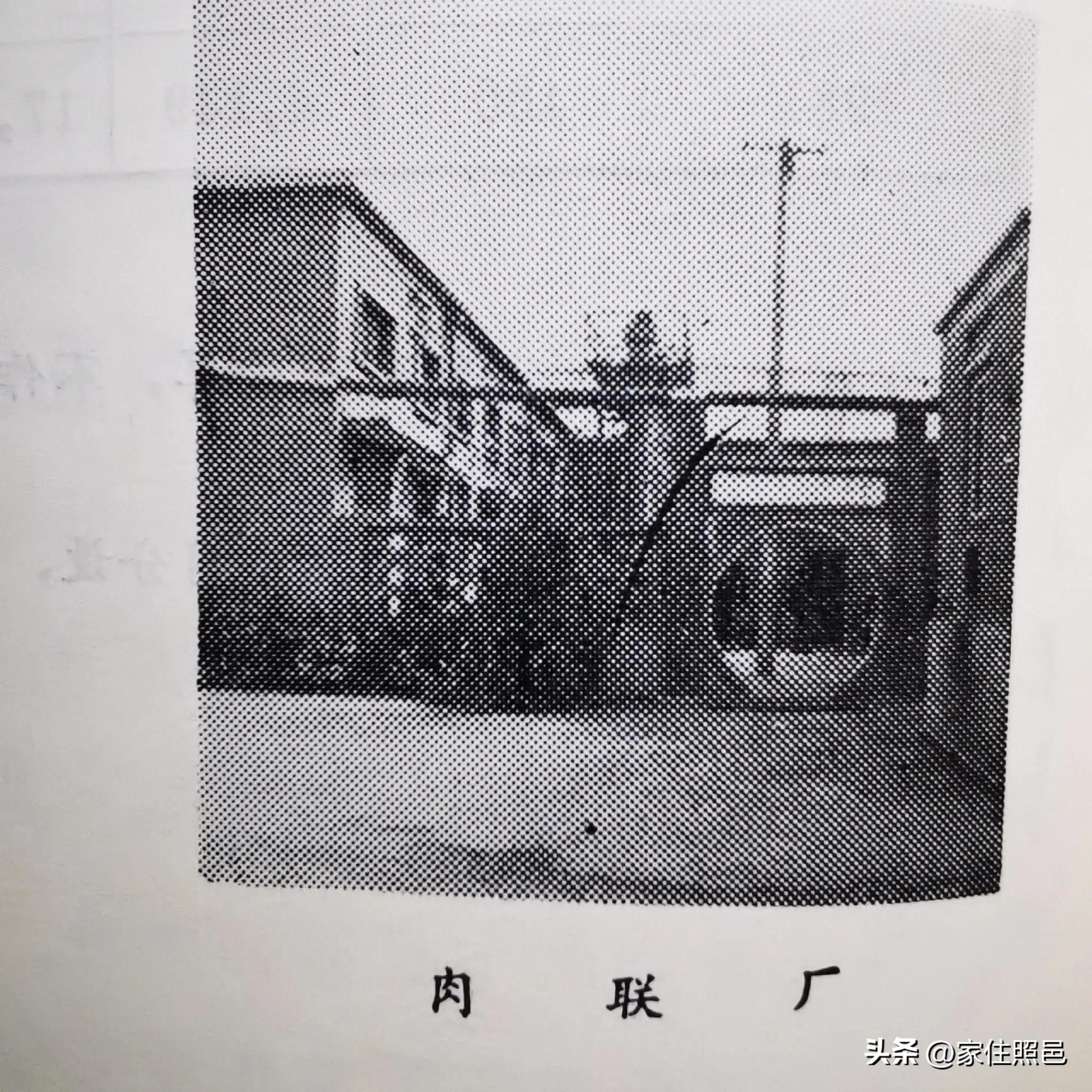 日照有什么好玩的地方,日照绿茶价格表