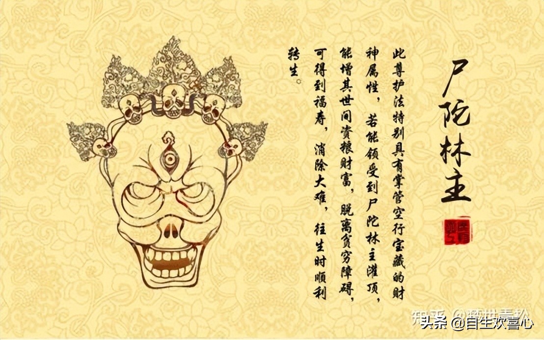 闲话第二期阿呆小元素一看就爱