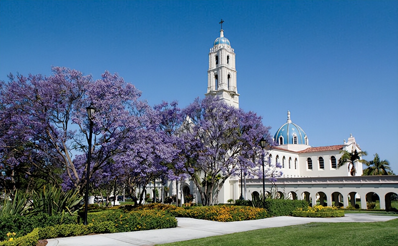 留学旧金山大学,旧金山大学美国留学费用