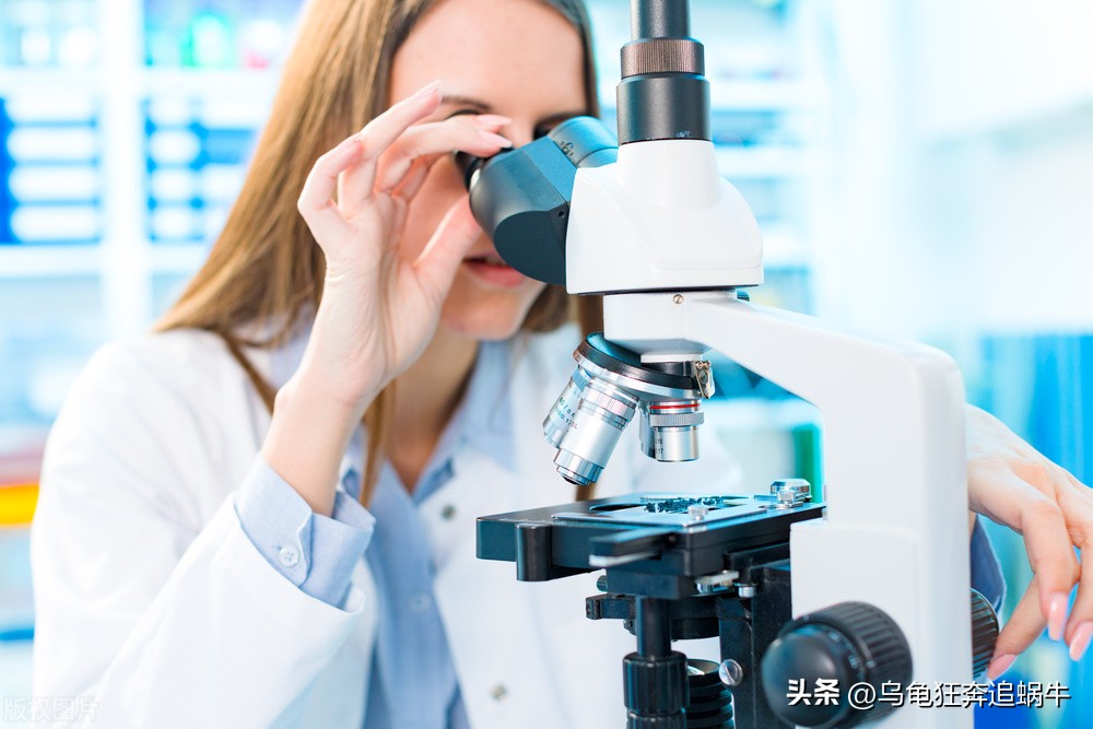 否极泰来2023年a股市场展望,a股开门红2023年投资机会在哪里