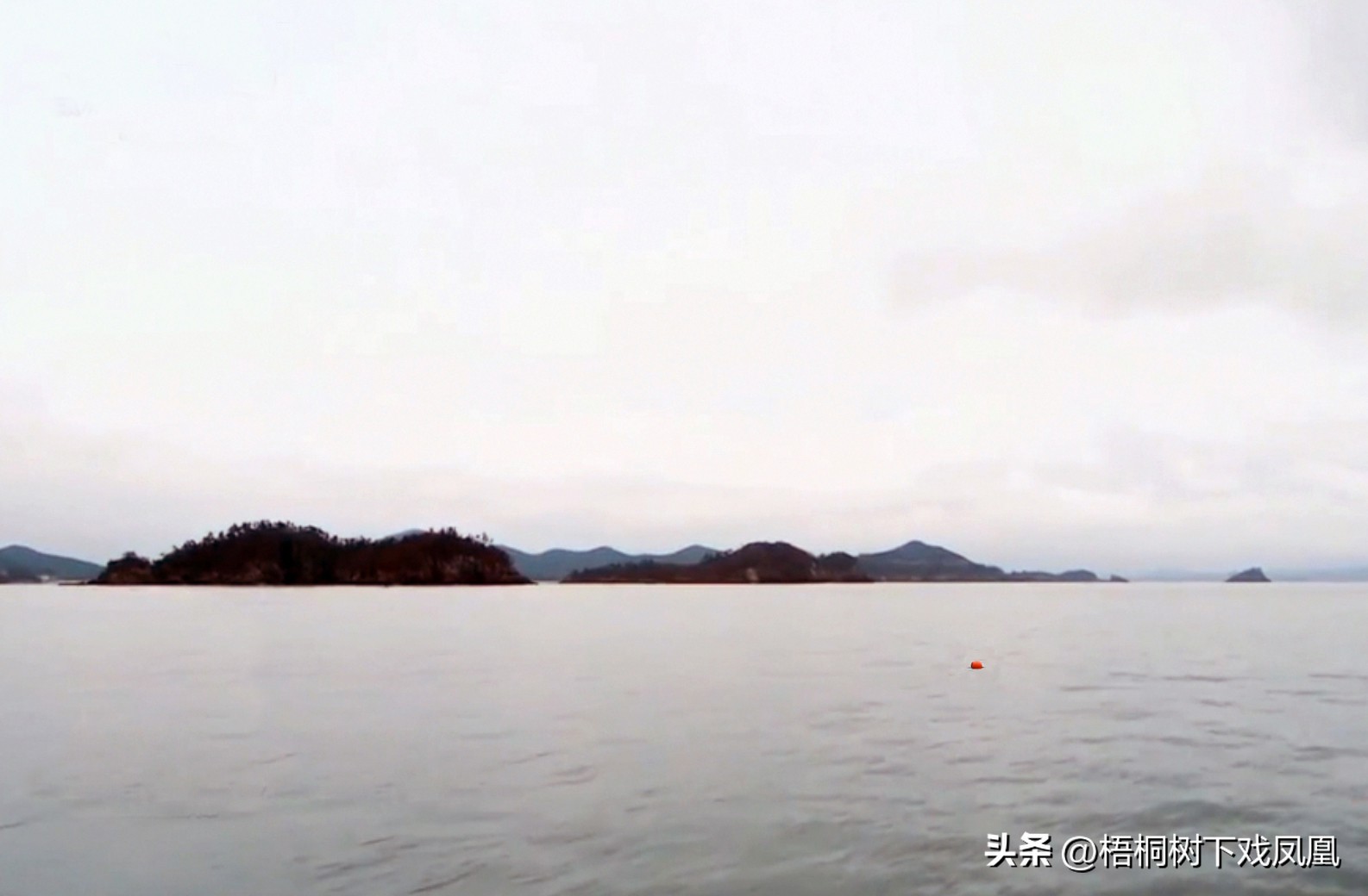 华光礁1号沉船古瓷,沉船古瓷