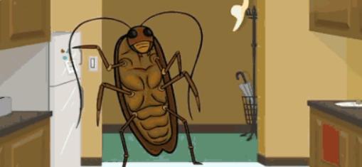 自制消灭蟑螂蚂蚁蚊子的小妙招,厕所的蟑螂怎么消灭最彻底小妙招