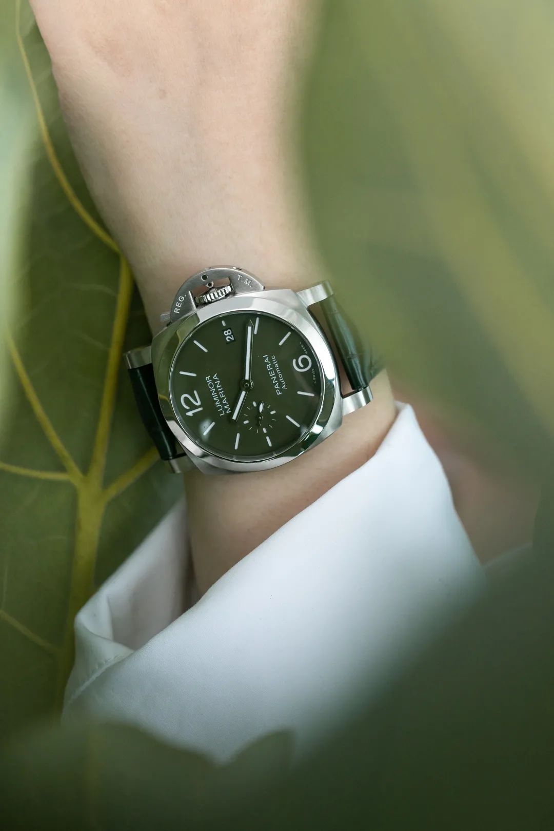 为什么绿表火了那么多年？夏天手上戴点绿，这28块表不容错过…