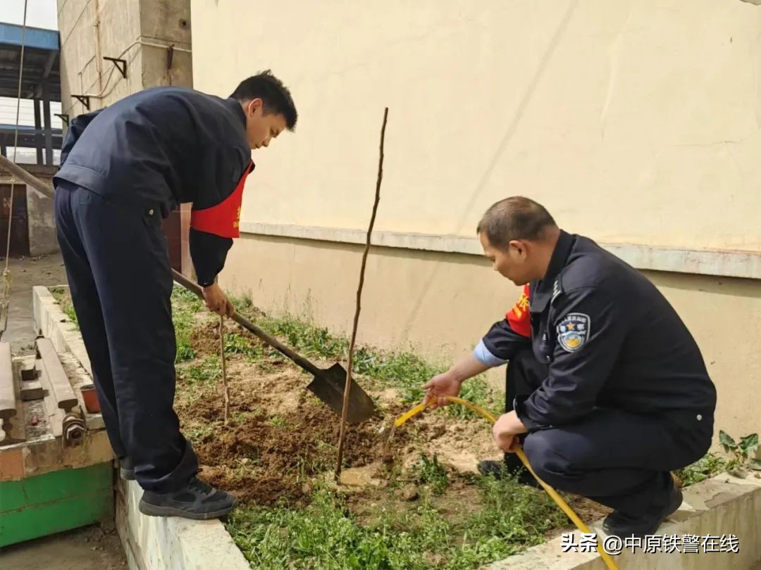 拥抱春天播种希望植树节手抄报,植树节拥抱春天播种梦想主题班会
