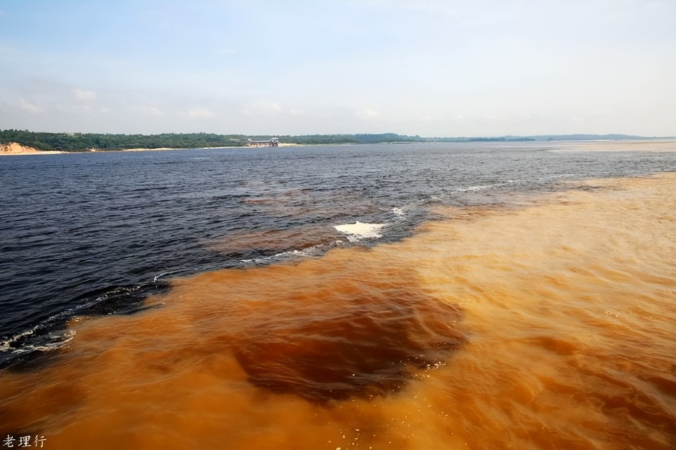 南美四国之旅,巴西亚马逊之行