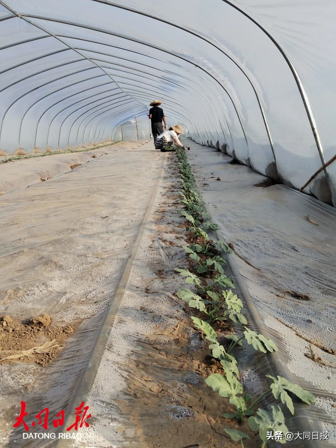 社区帮助居民家门口就业,推荐群众家门口就业