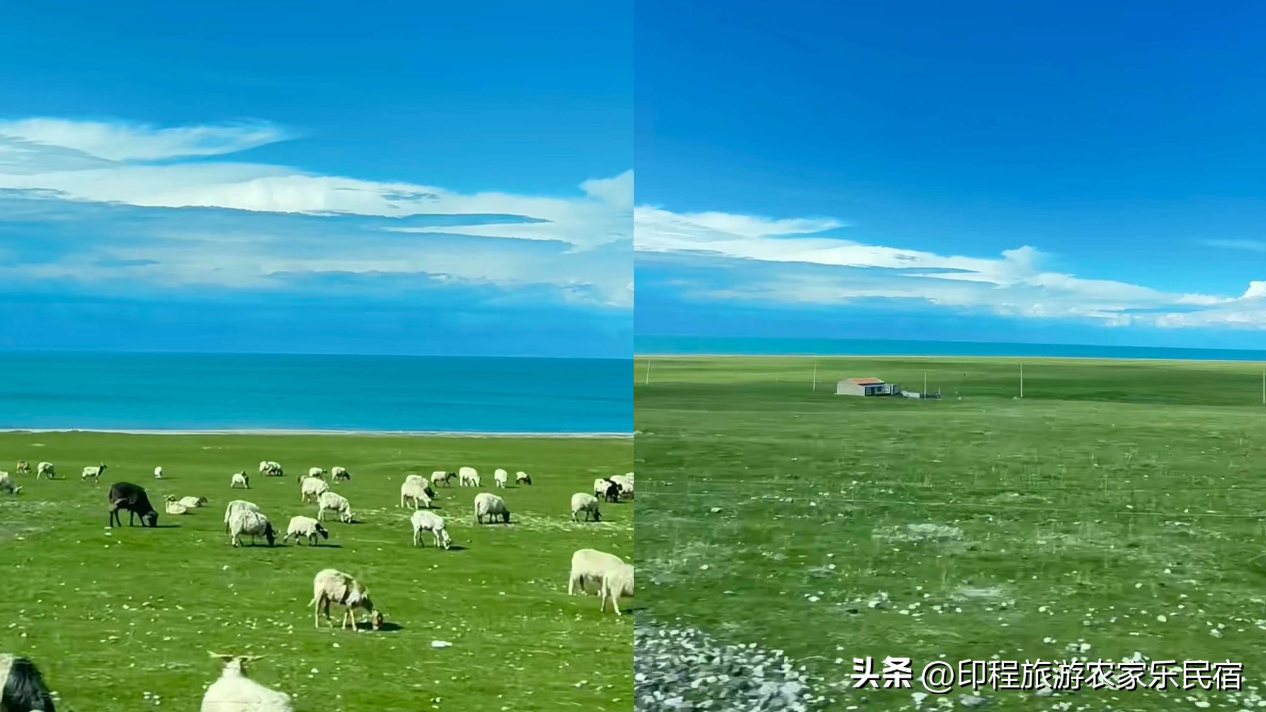 河南避暑胜地农家乐,桐庐避暑胜地农家乐地址