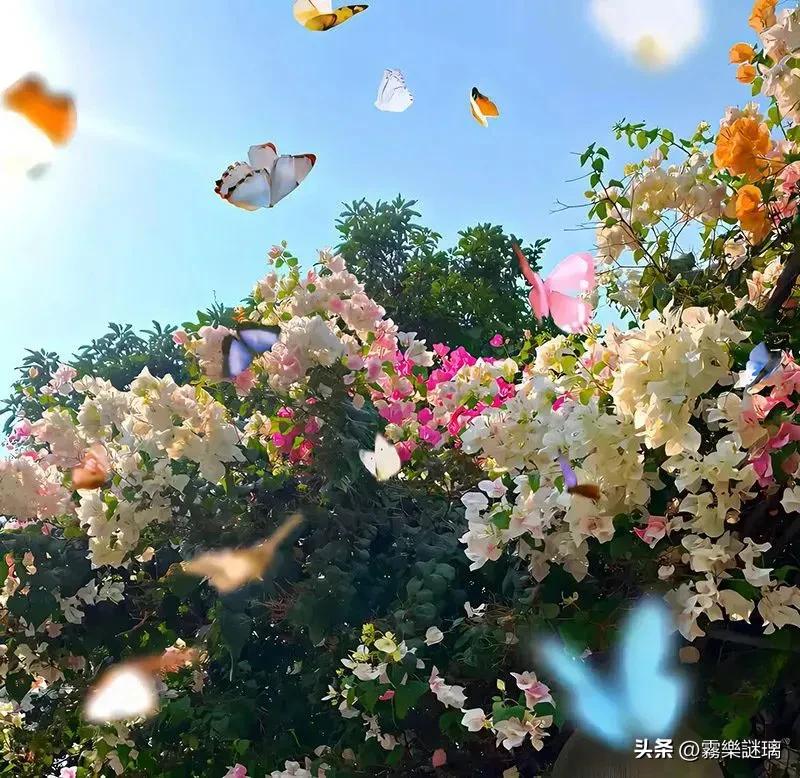 设计余生只为自己而活,做命运的设计师主宰者