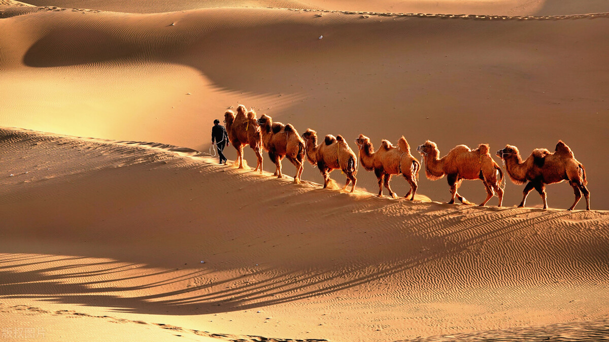 ChatGPT:中国最美的10个自然风景,按顺序排名