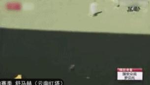 2004中国赛舒马赫阿隆索,舒马赫单赛季148分