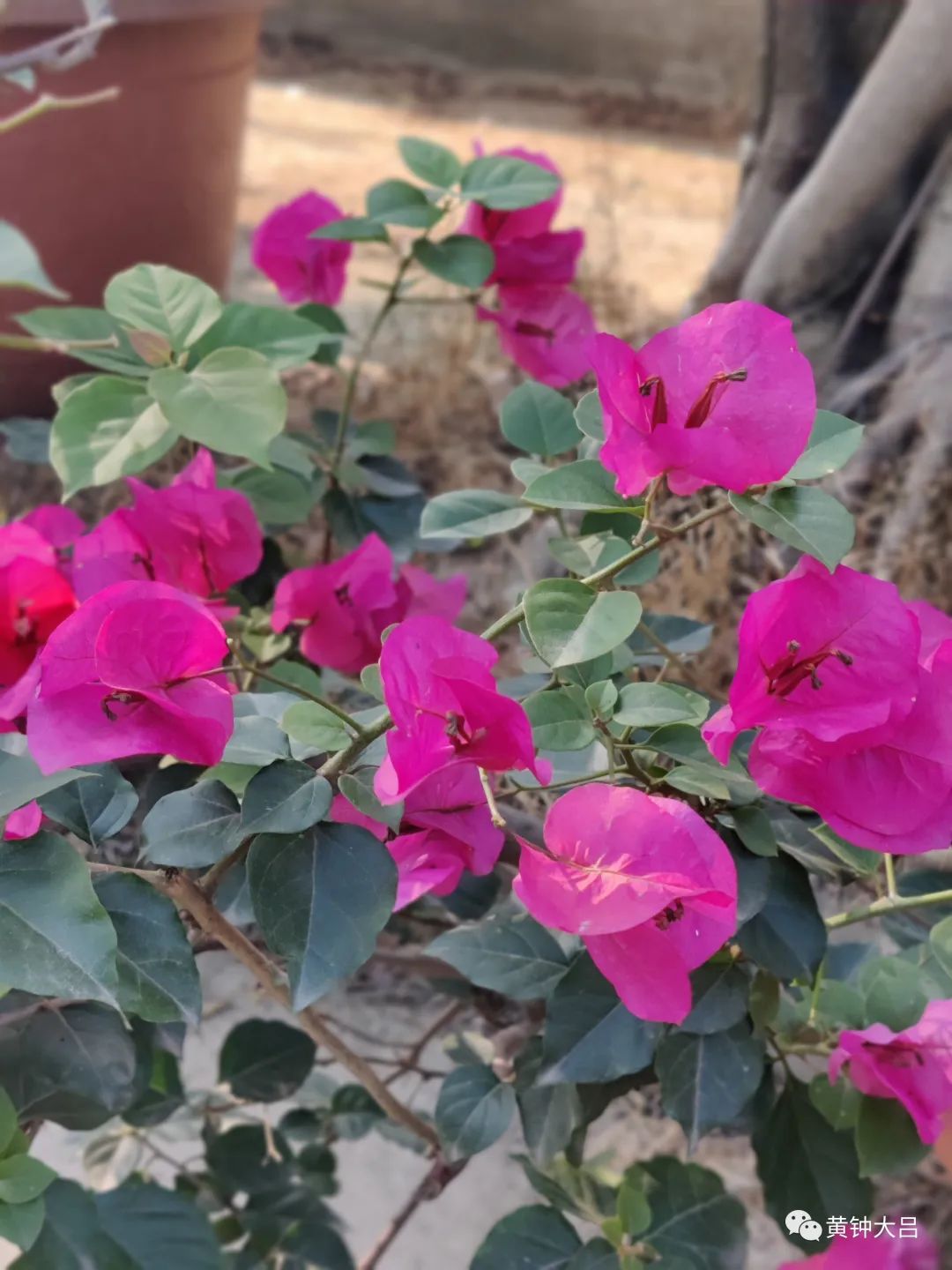 为了孩子教育就开始选学区房,到底该不该为了孩子买学区房