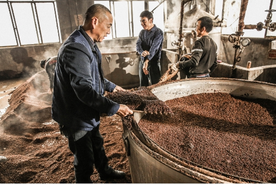 美国游客来到四川看大熊猫,美国游客排队看熊猫