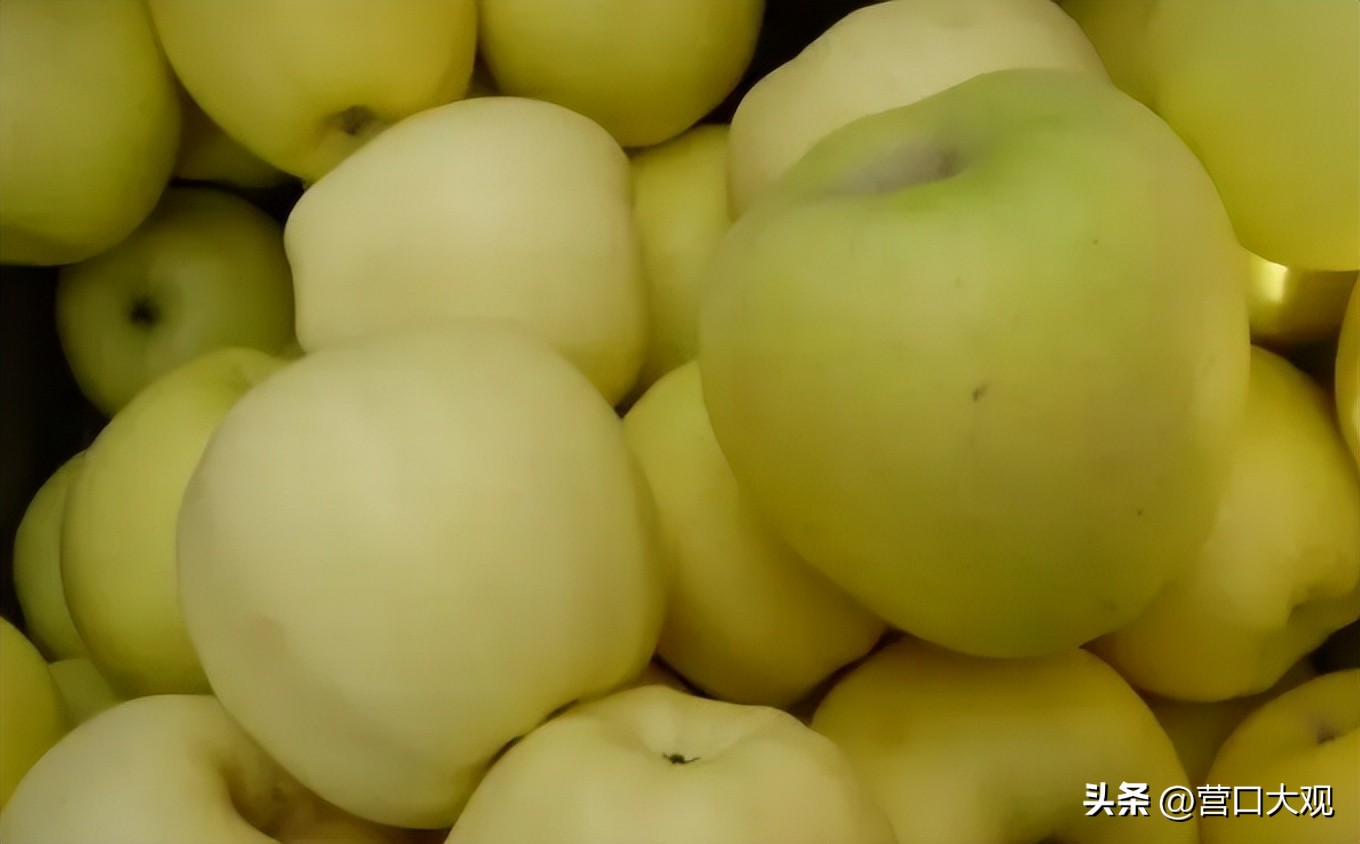 瓜果之乡的苹果,辽宁盖州苹果介绍