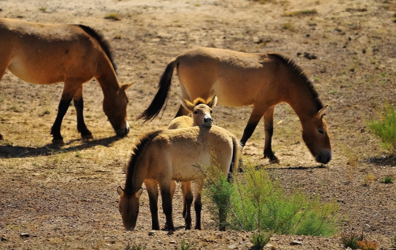 十大必去夏季旅行目的地,6月份适合3-5天短途旅游小众路线
