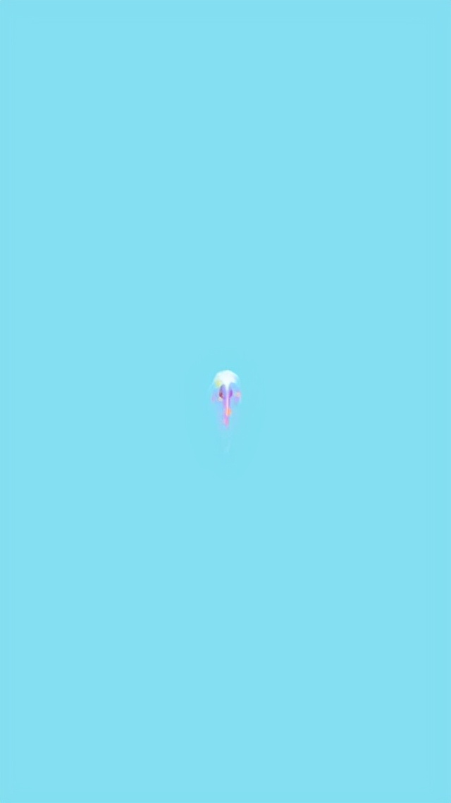 召唤神龙万宁版免广告教程,召唤神龙万宁版角色图鉴