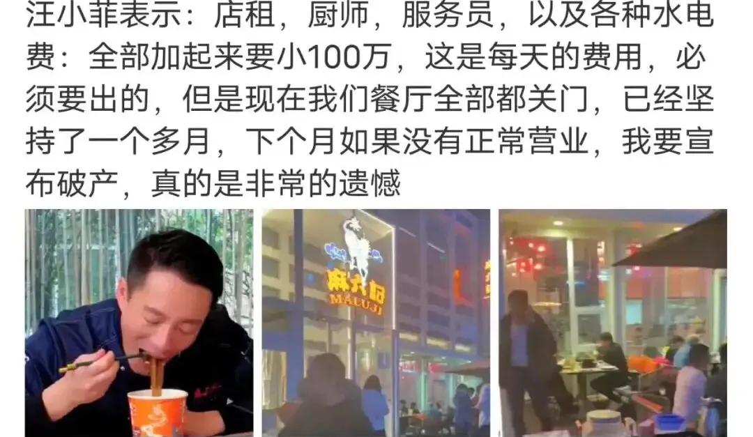 张兰汪小菲现在的产业,张兰支持汪小菲创业