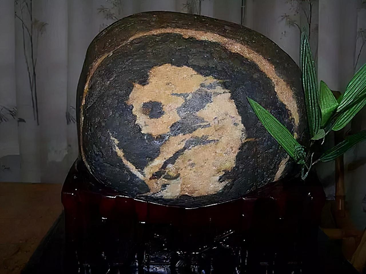 河沟捡熊猫奇石,捡到国宝熊猫奇石