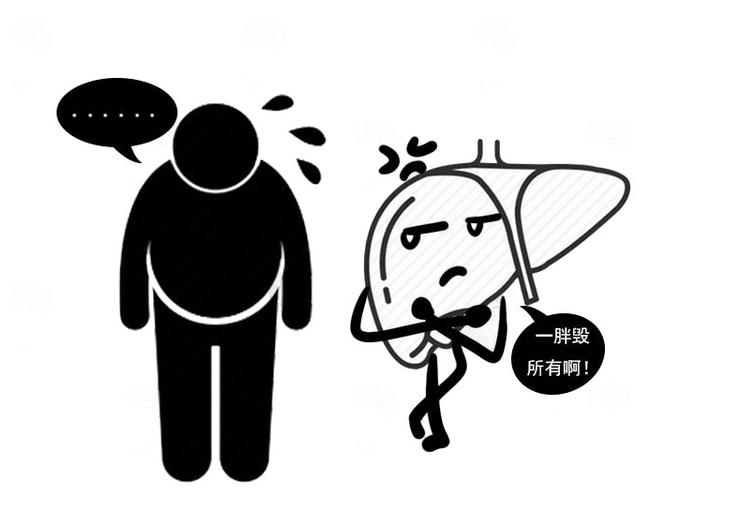 内脏脂肪如何减肥,内脏脂肪少怎么减肥最有效