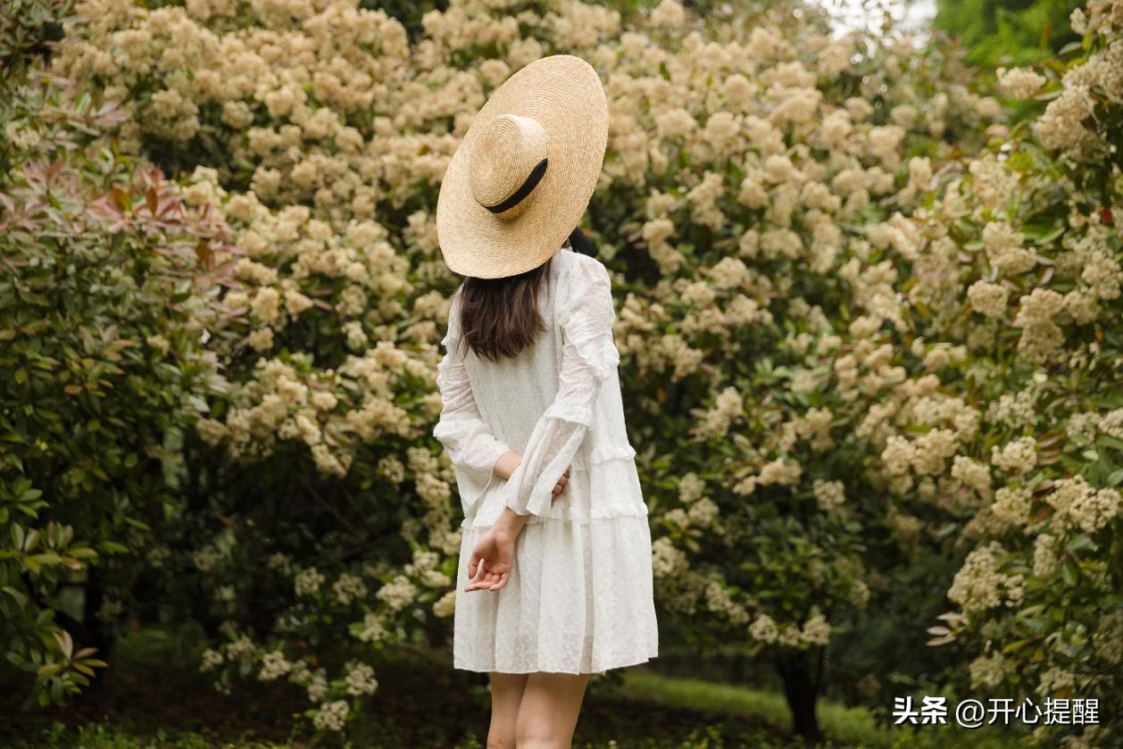 pdf文件如何转换为图片免费,图片转换pdf软件免费