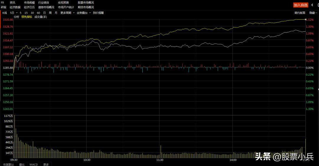 今日大盘下跌趋势中的反弹行情,明日大盘缩量反弹持股
