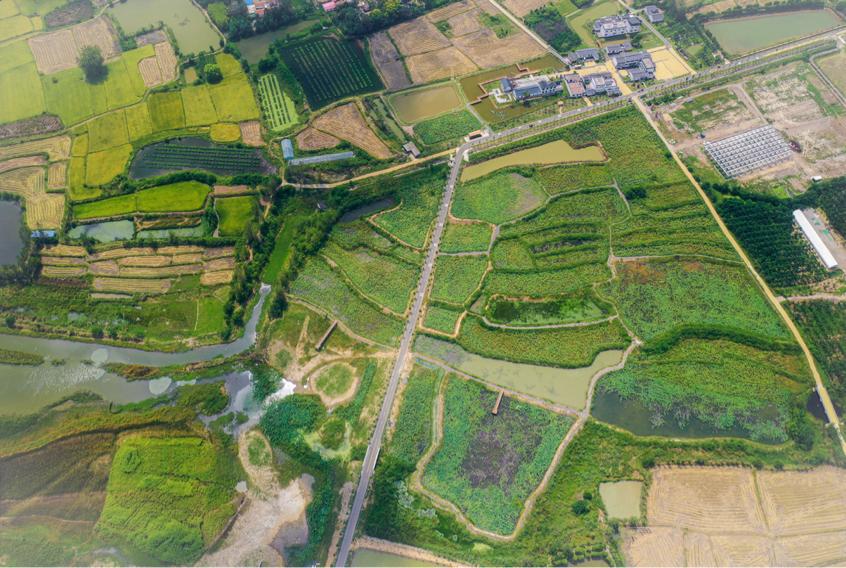 中国小龙虾之乡潢川,信阳潢川小龙虾农村