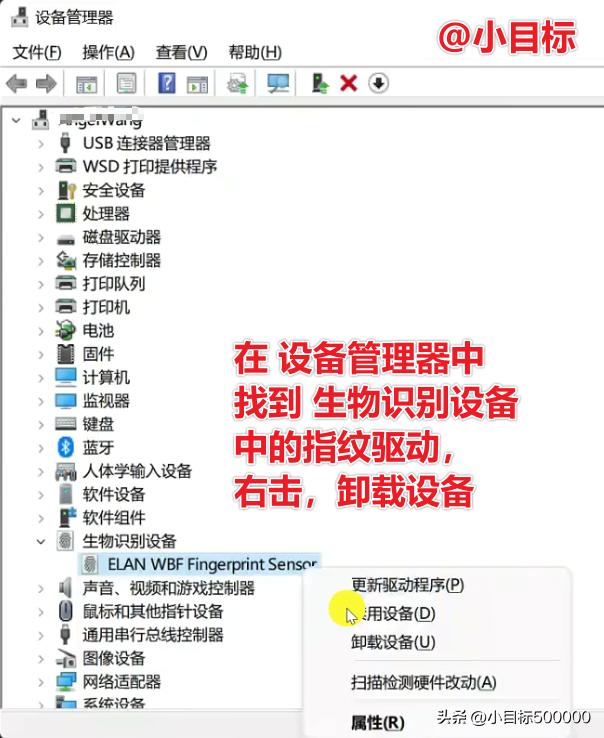 指纹录入为什么显示指纹未录入,电脑怎么设置指纹录入
