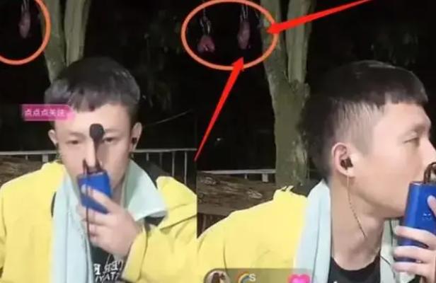 柬埔寨大G疑拉人头，铁棍电击惨叫不断，视频中出现失踪的李正亮