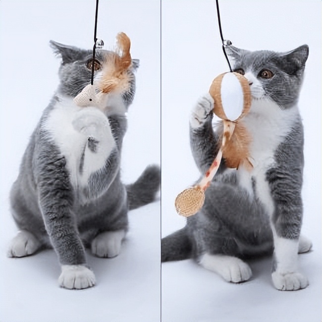 猫咪喜欢的玩具测评,猫咪喜欢的玩具颜色