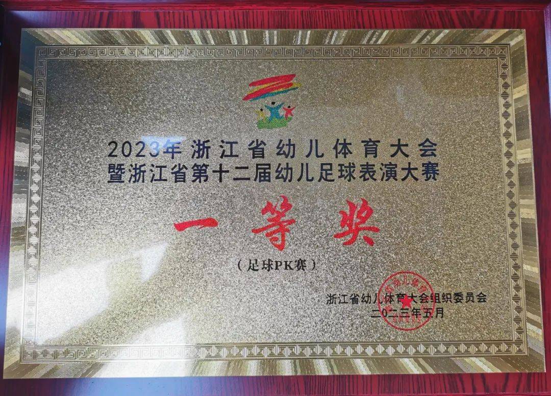 浙江省幼儿园足球比赛,嘉兴市宏大幼儿足球比赛