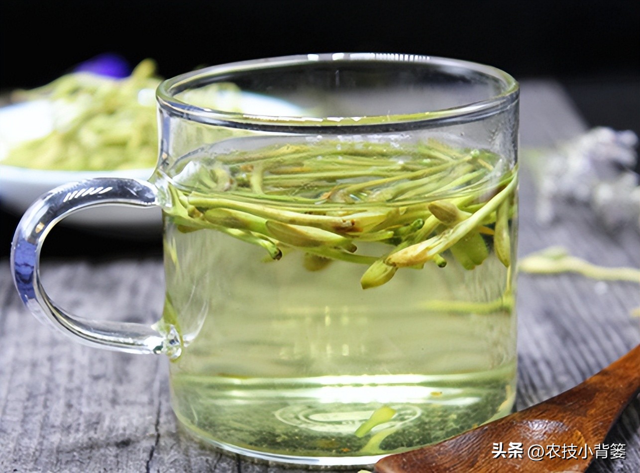 春天喝红茶还是绿茶好,春天适合喝什么红茶绿茶