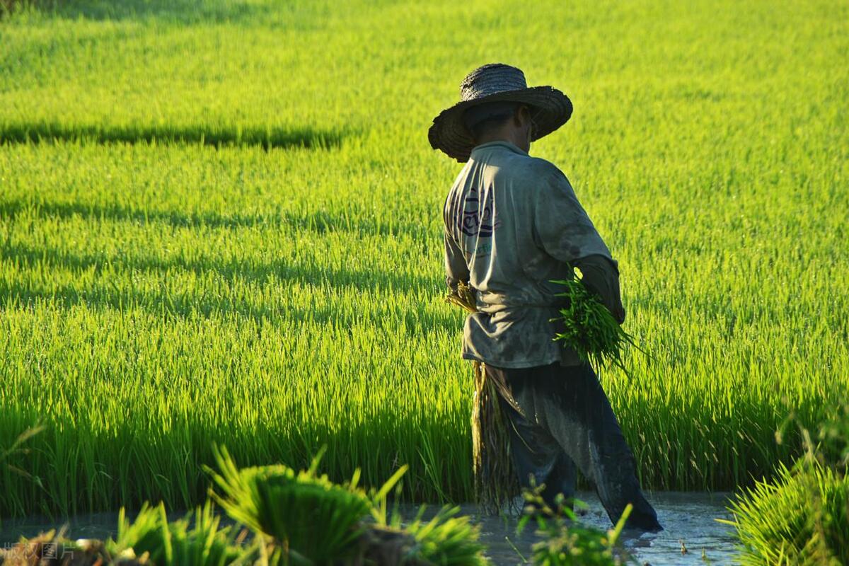 唐尚珺父亲因超生被丢教师工作，患舌癌到死都不知道儿子没上大学