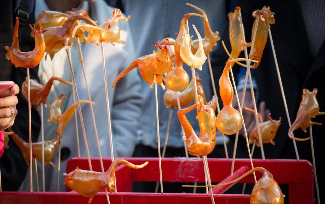 子鼠丑牛寅虎卯兔十二生肖排序,智慧人生十二生肖排序真正原因