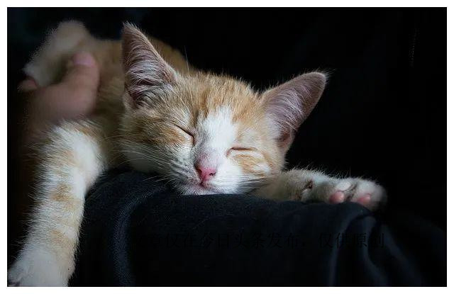 你压力大吗？赶紧睡一觉，这或许是最快的解决方法