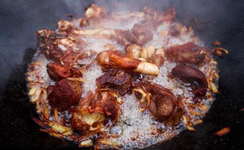 动物恶性肿瘤能吃吗,动物吃了肿瘤会怎样