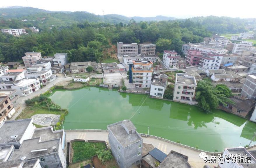 五华县华阳镇莲高村建设,五华华阳莲高村