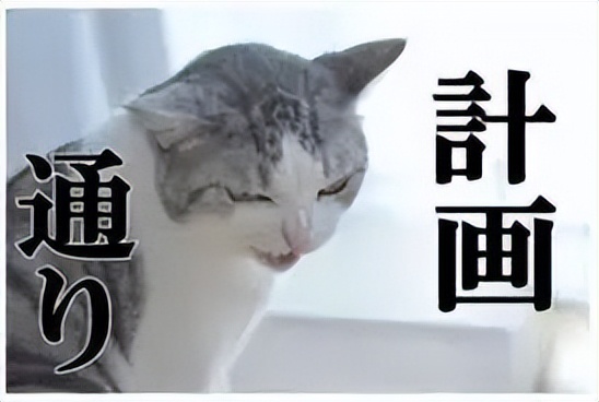 iPhone14不用买了，苹果直接让你租？