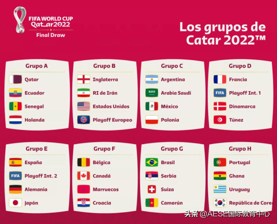 wtt世界杯奖金分配方案,世界杯抽签结果排名规则