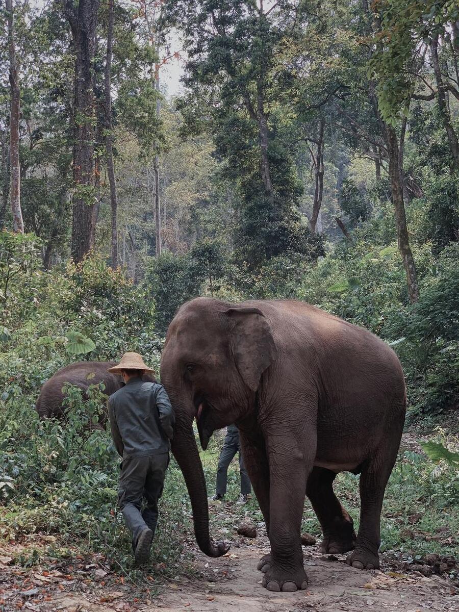 夏季旅游推荐3-4天游,夏天旅游攻略国内推荐3到4天