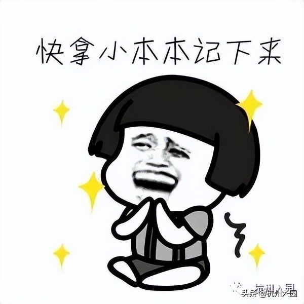 杭州幼儿园2024网上信息采集时间,杭州幼儿园超龄怎么报名