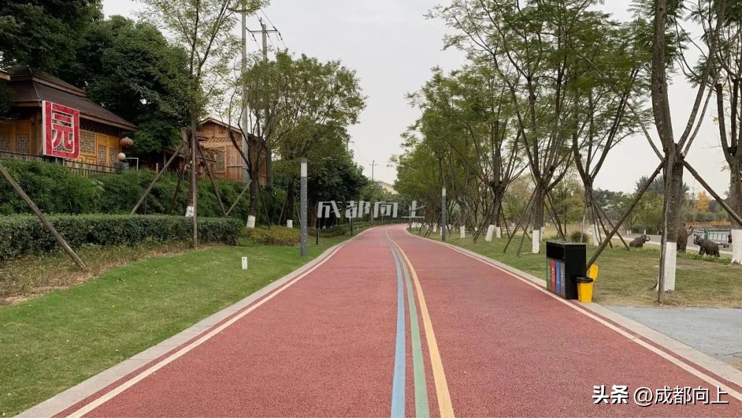 马家寺交通拥堵,双流马家寺现状