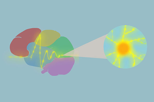 复方甘草片化痰一天含服最多几片,复方甘草片和止咳化痰药一起吃吗