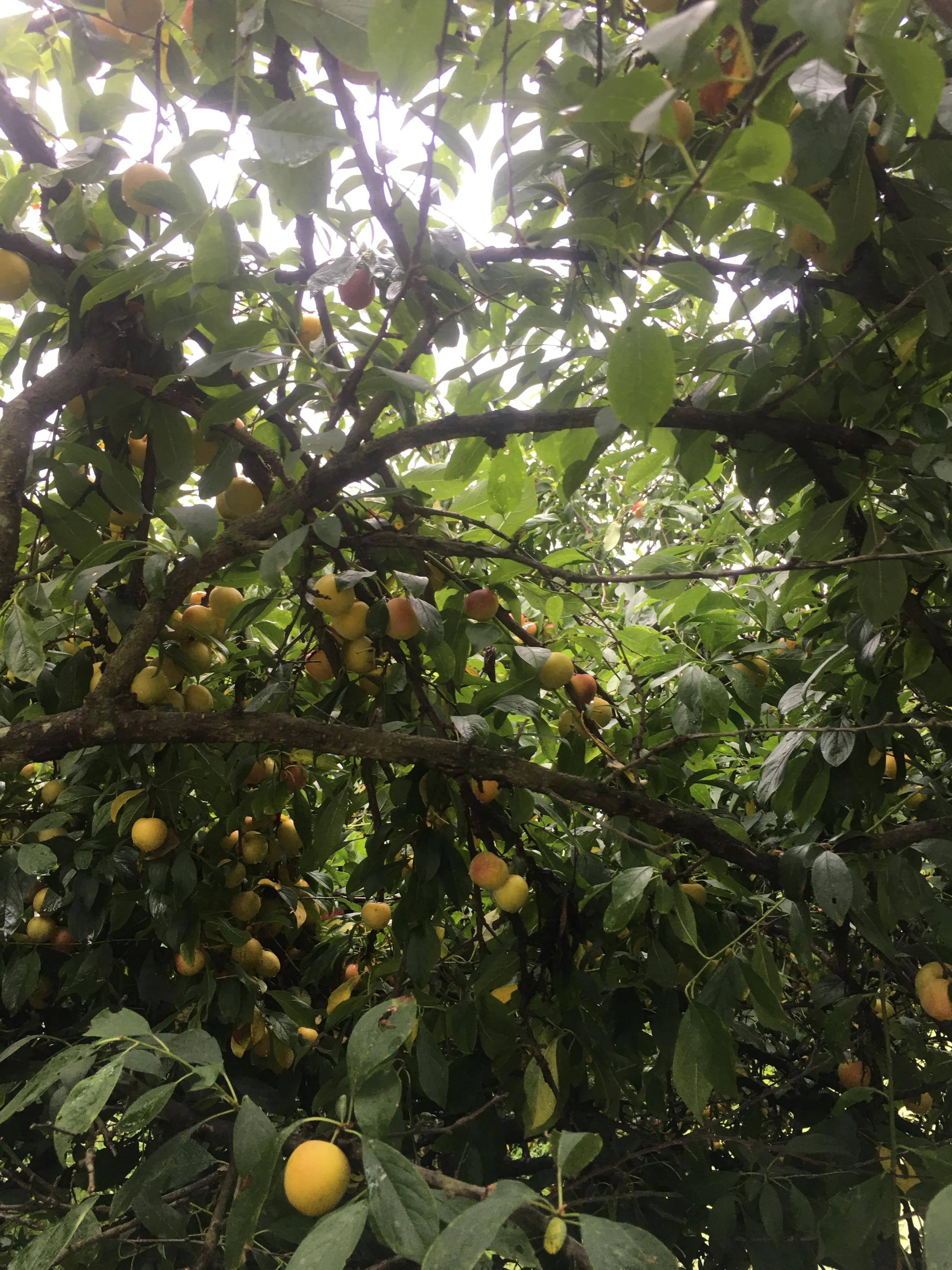 基金和股票什么时间买最好,买基金怎么选择卖最早买的股票