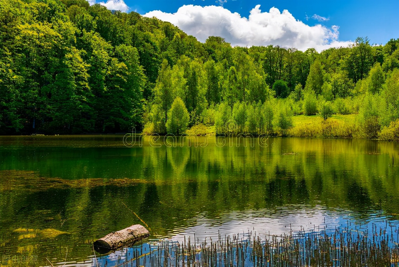 吉林众齐律师事务所亓凤国携全体律师给诸位同仁、朋友拜年