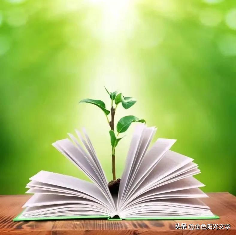 我爱秋天二年级写话,小学生二年级优秀写话