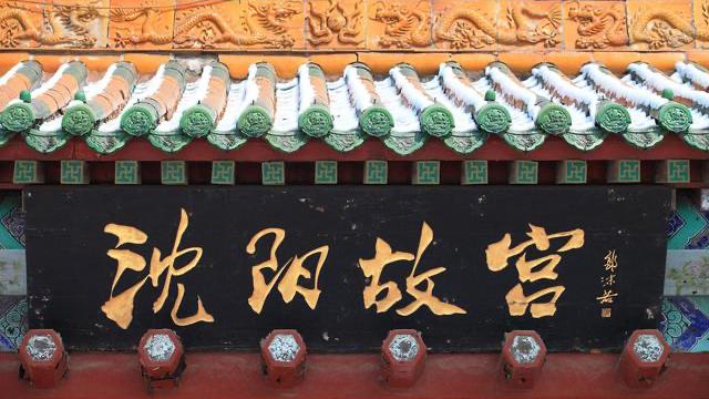 沈阳野生动物园带点啥东西喂动物,沈阳动物园冬季有哪些动物