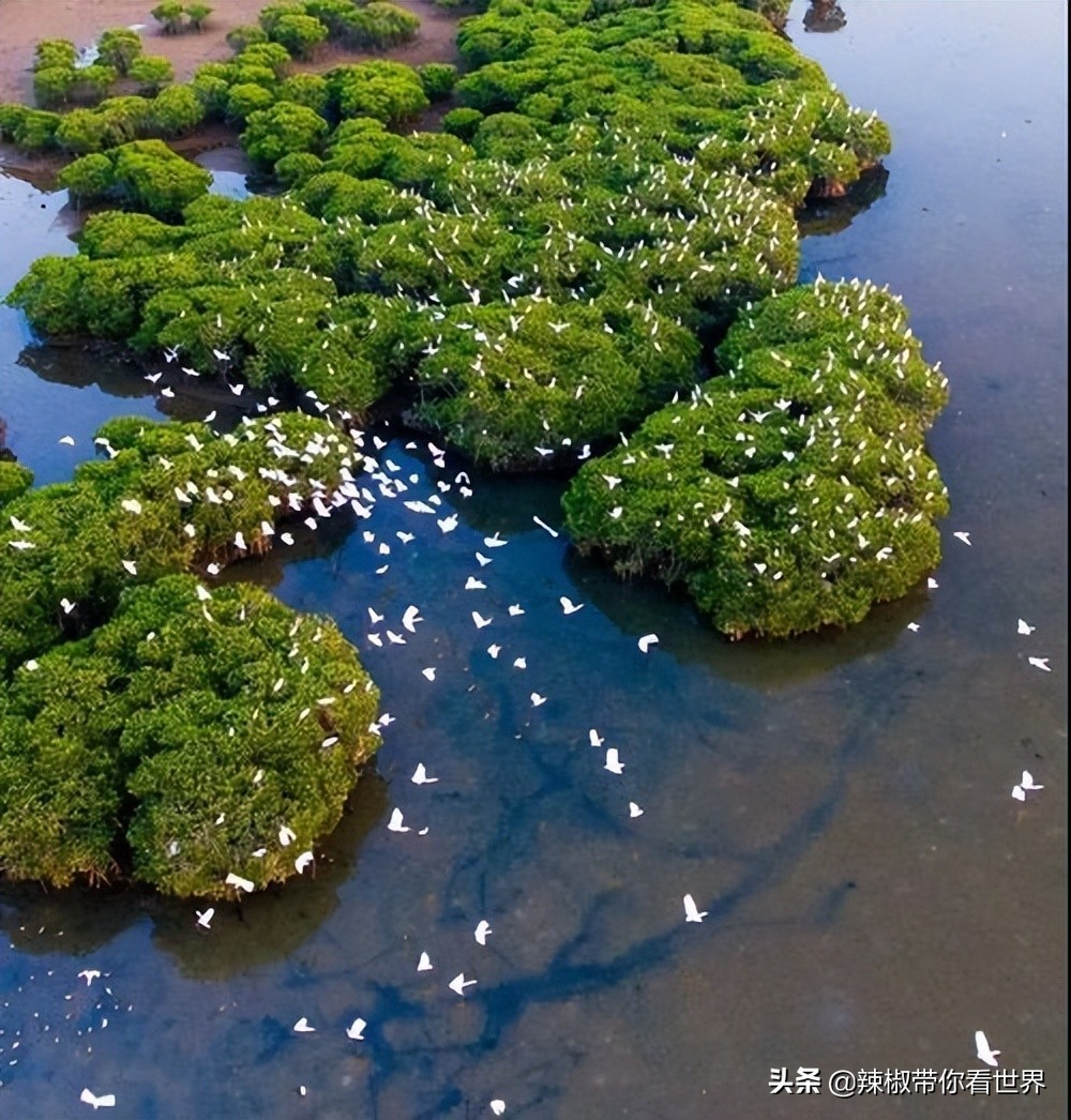 海南岛风景临高,海南临高海边哪里最好