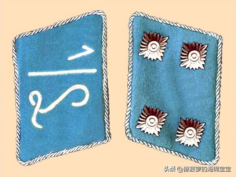 纳粹冲锋队用的什么枪,纳粹德军军衔图解