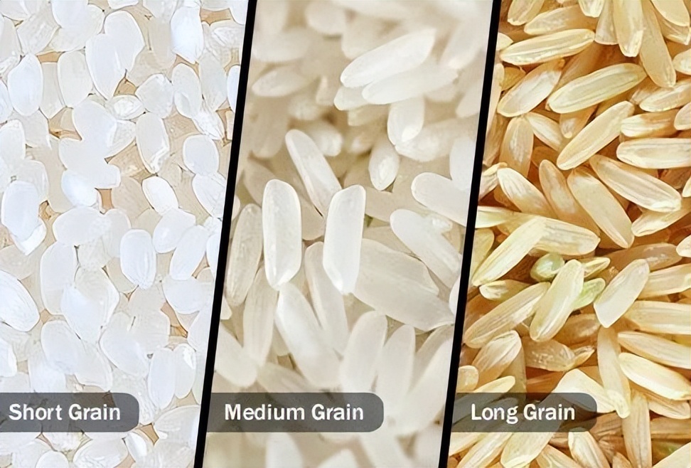 美国大米品牌排行榜,美国华人超市必买