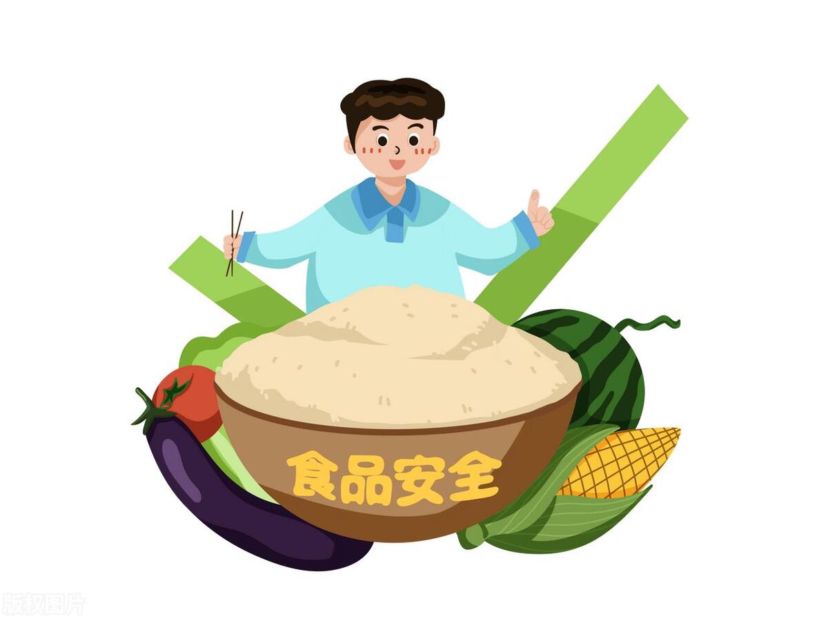 吃到肚子里的东西会怎么样,吃进肚子的食物什么样