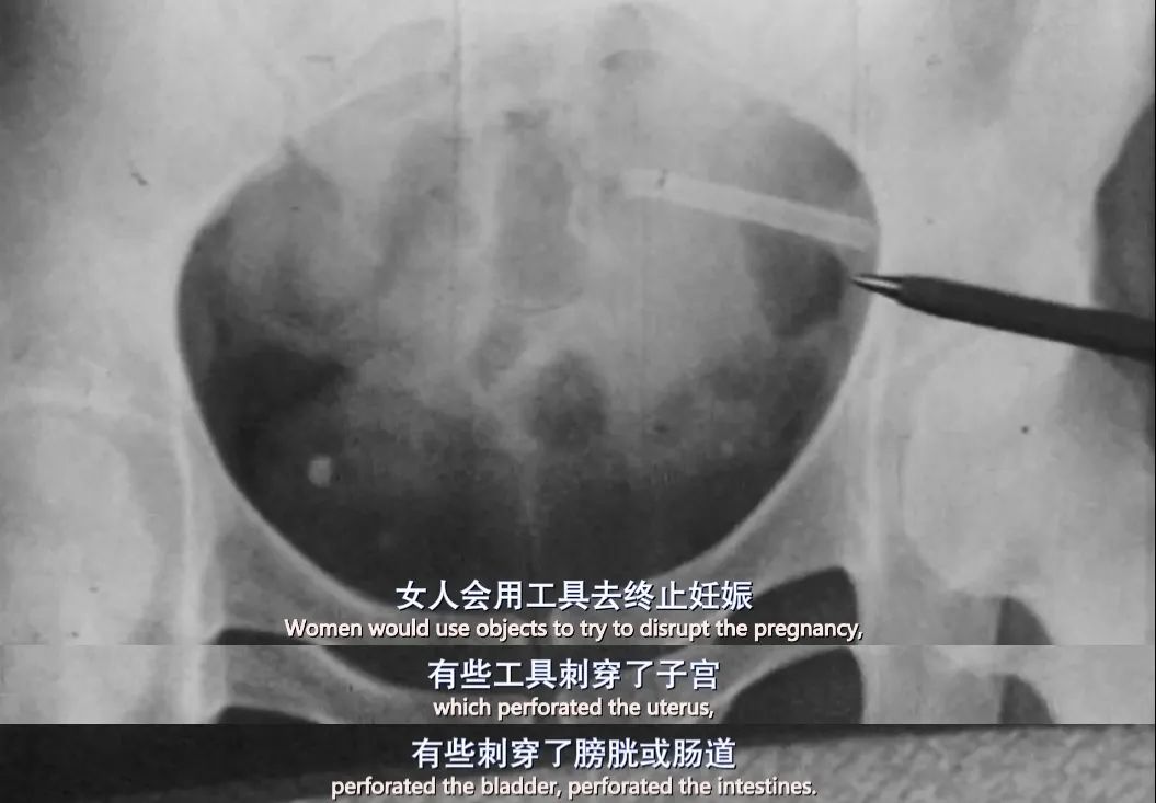 口碑炸裂的100部高分纪录片,好评第一拍立得